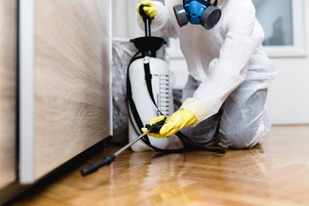 Trusted Weedpatch, CA Pest Control Experts