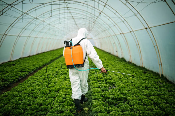 Best Residential Pest Control  in Weedpatch, CA