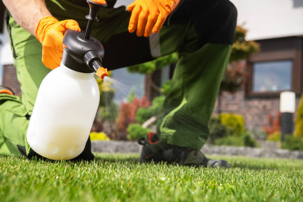Best Wildlife Control Services  in Weedpatch, CA