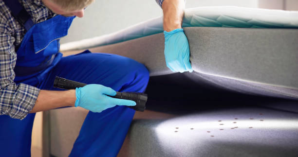 Best Local Pest Control Services  in Weedpatch, CA